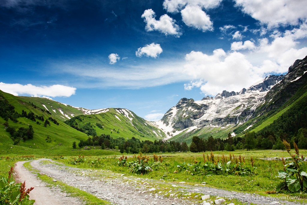 Kavkaz